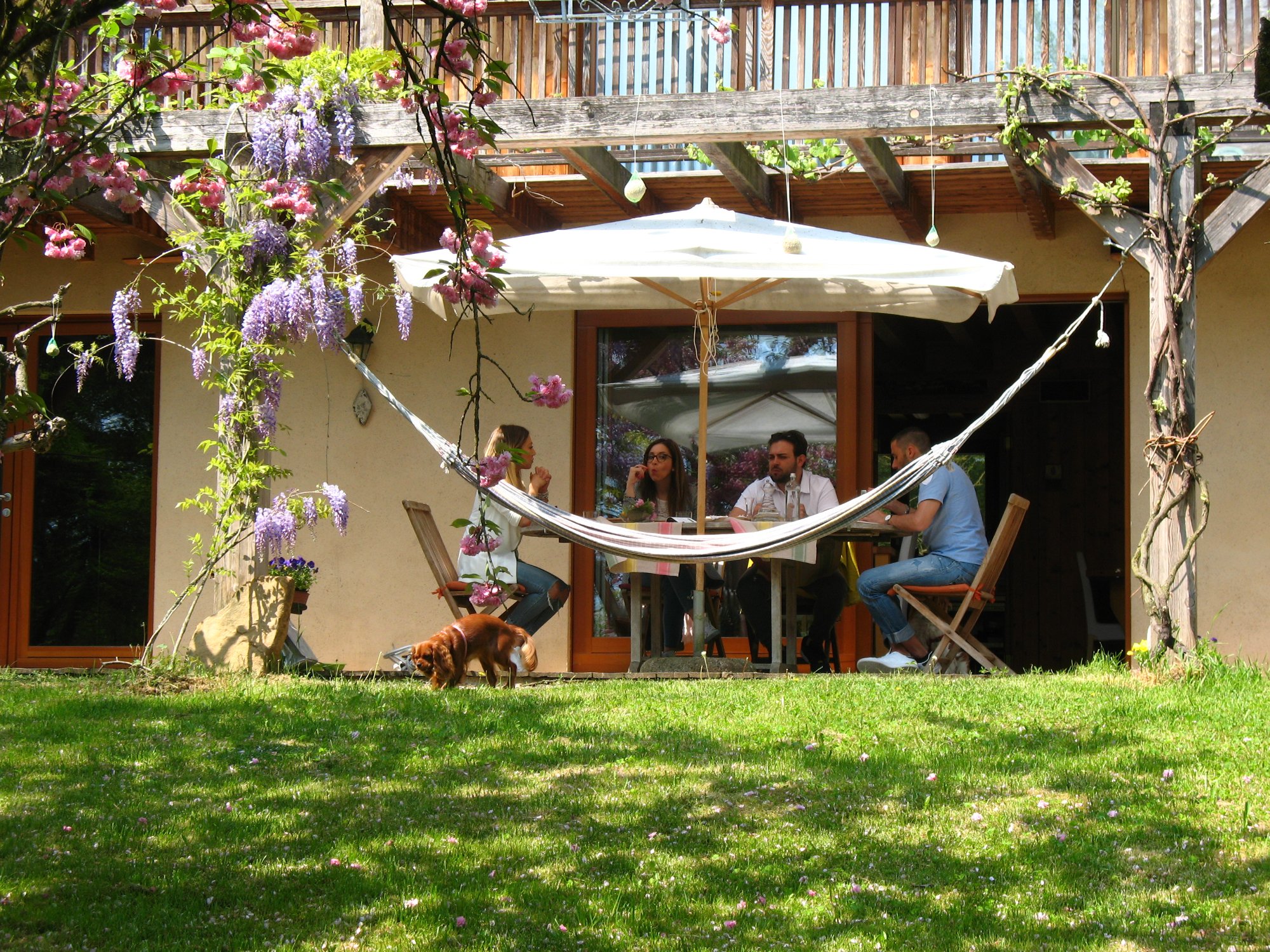 Campo di Cielo Bio Agriturismo Vegano-官方