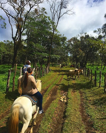 Boquete Horseback Riding