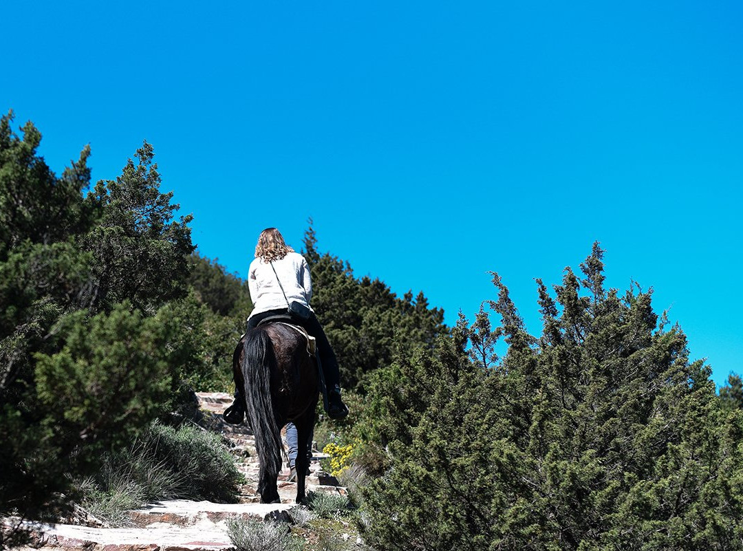 Sifnos Horseriding景点图片