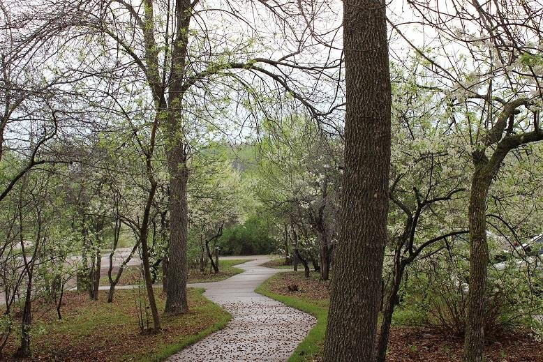 Downsville旅游攻略图片