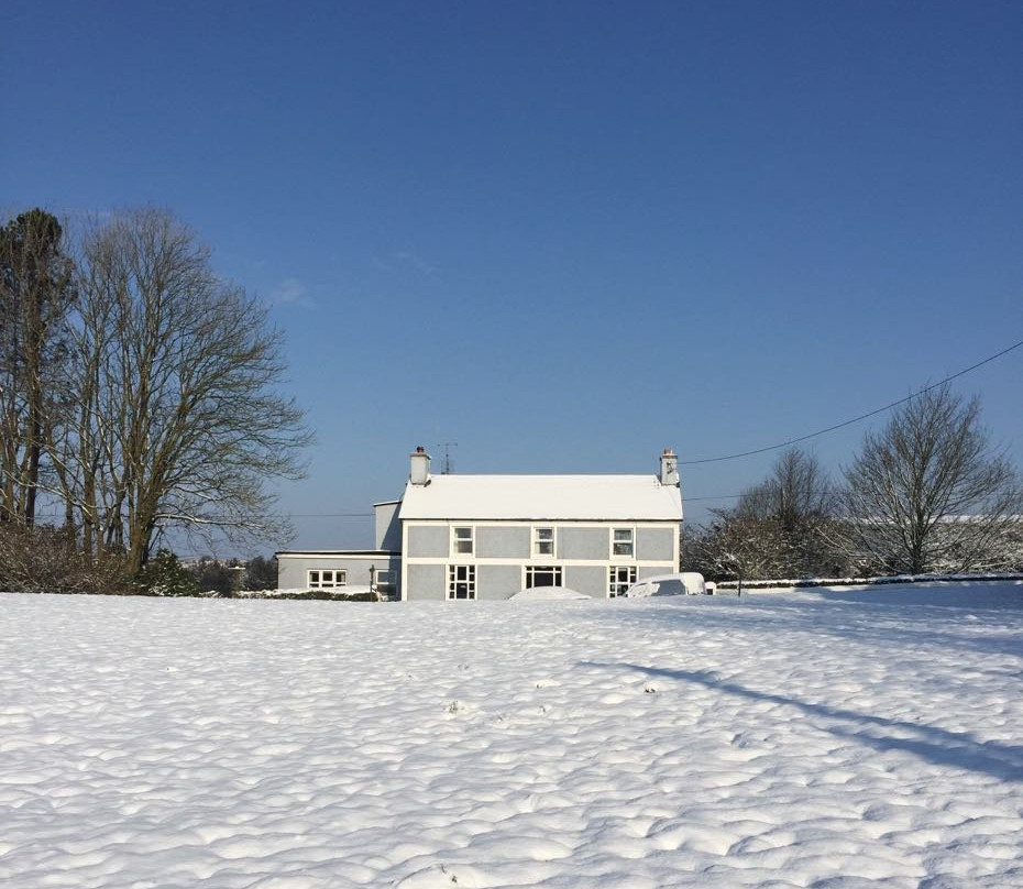 Bunalun Farm B&B主图