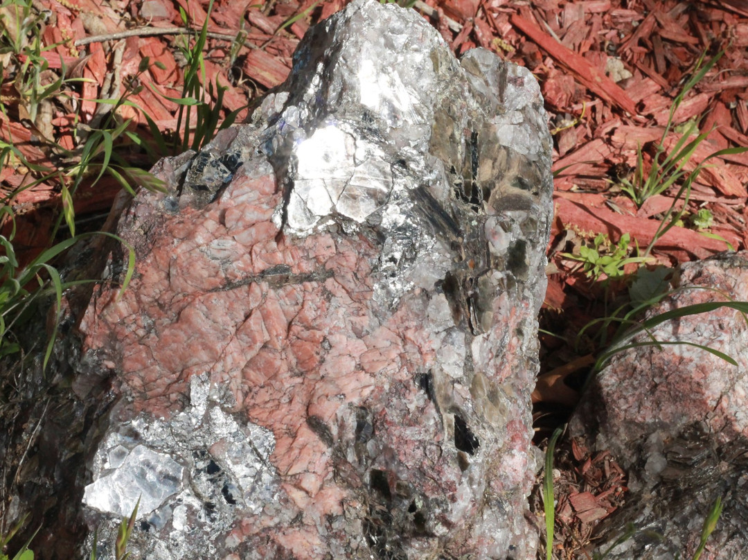 Five Civilized Tribes Museum-马斯科吉必去景点