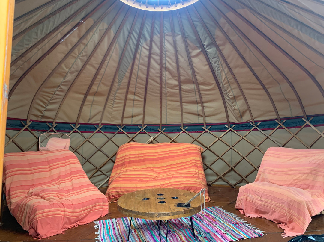 Inside Out Camping