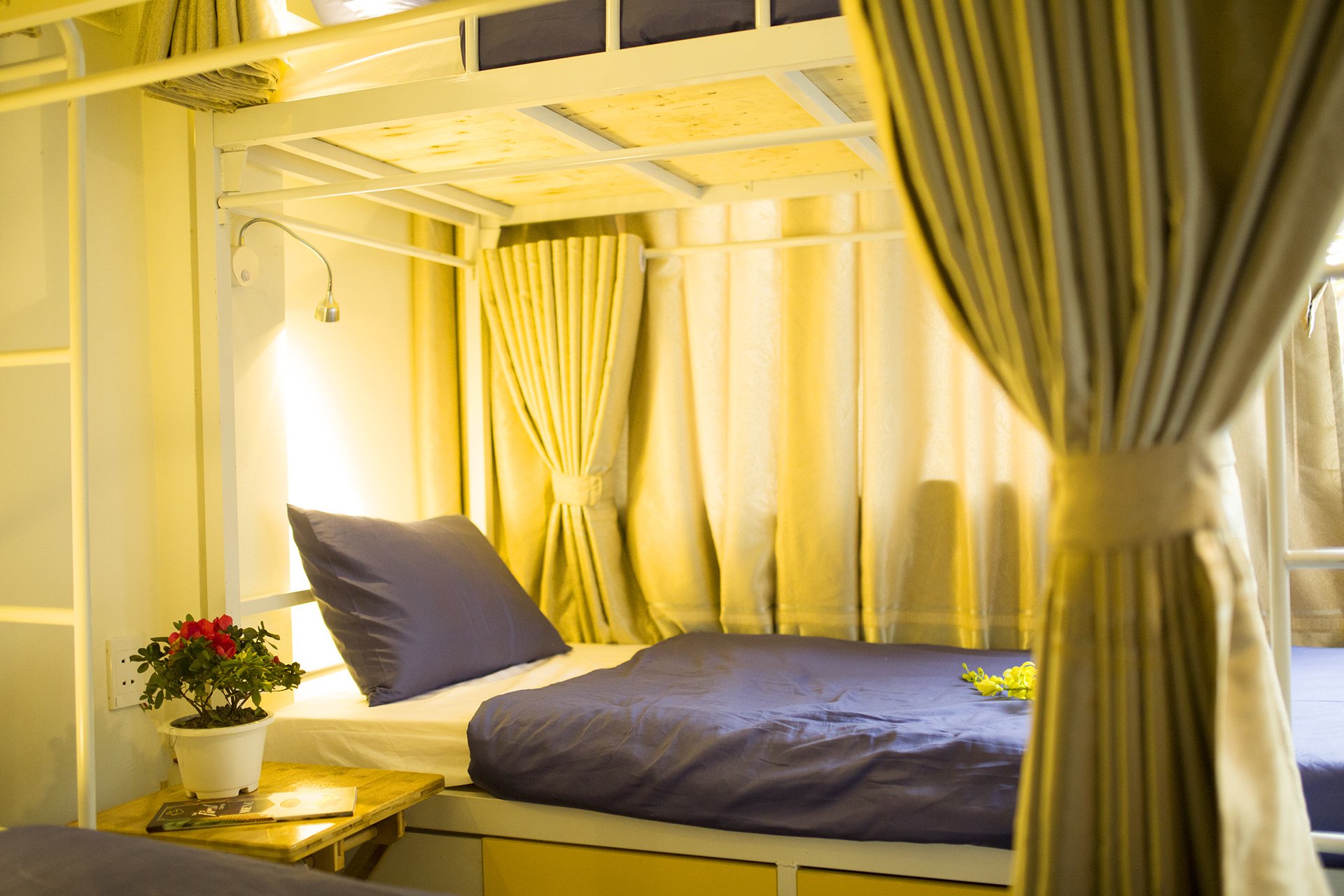 The First Hostel-官方