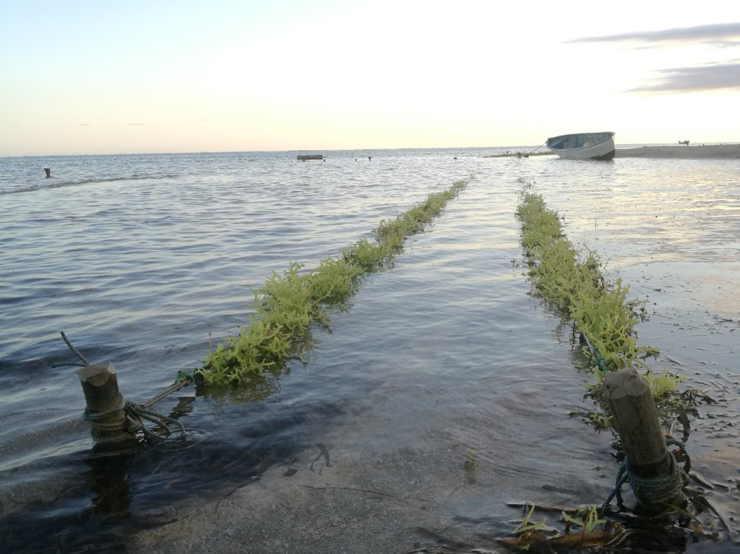 Sumba Adventure Resort主图