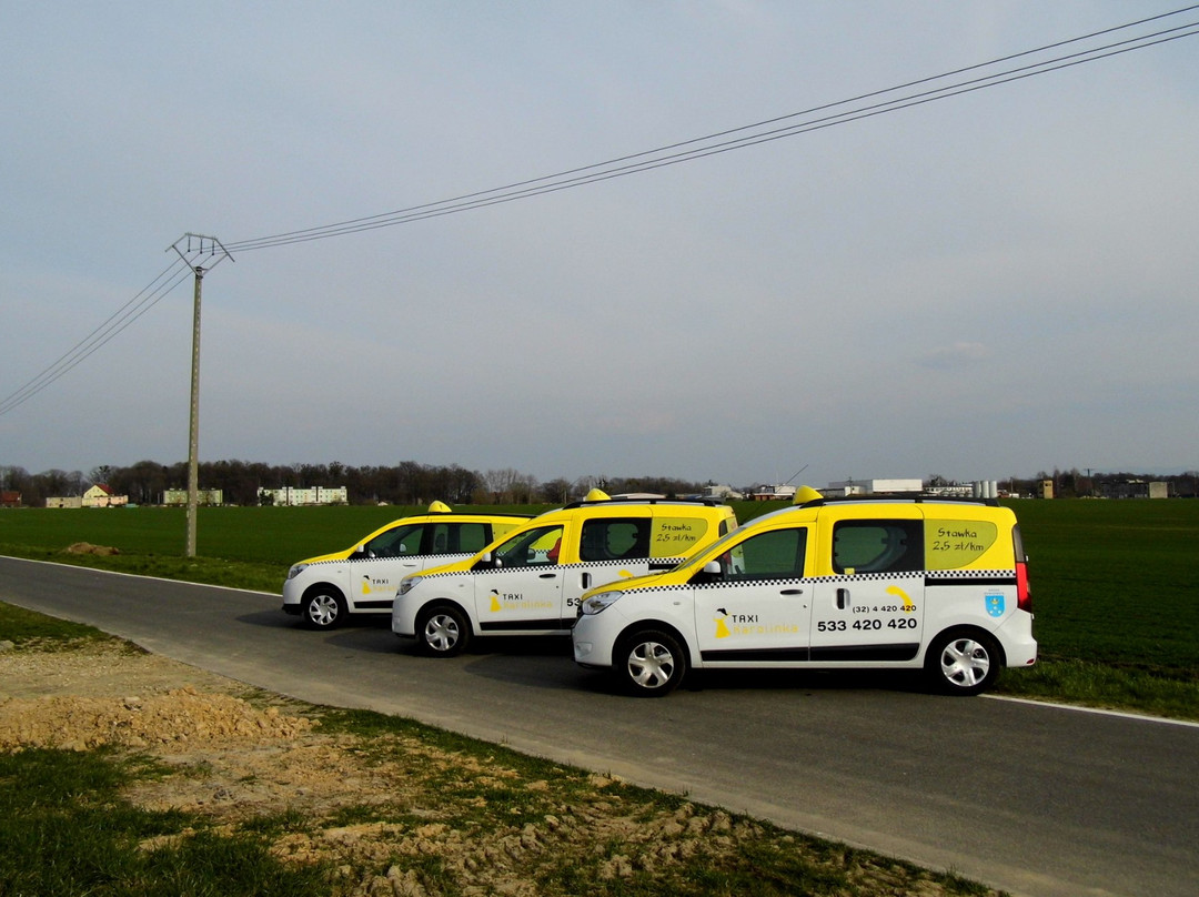 Taxi Karolinka-Pawlowice必去景点