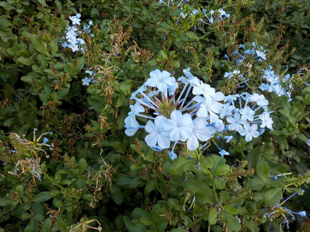 Alma Park-圣基尔达必去景点