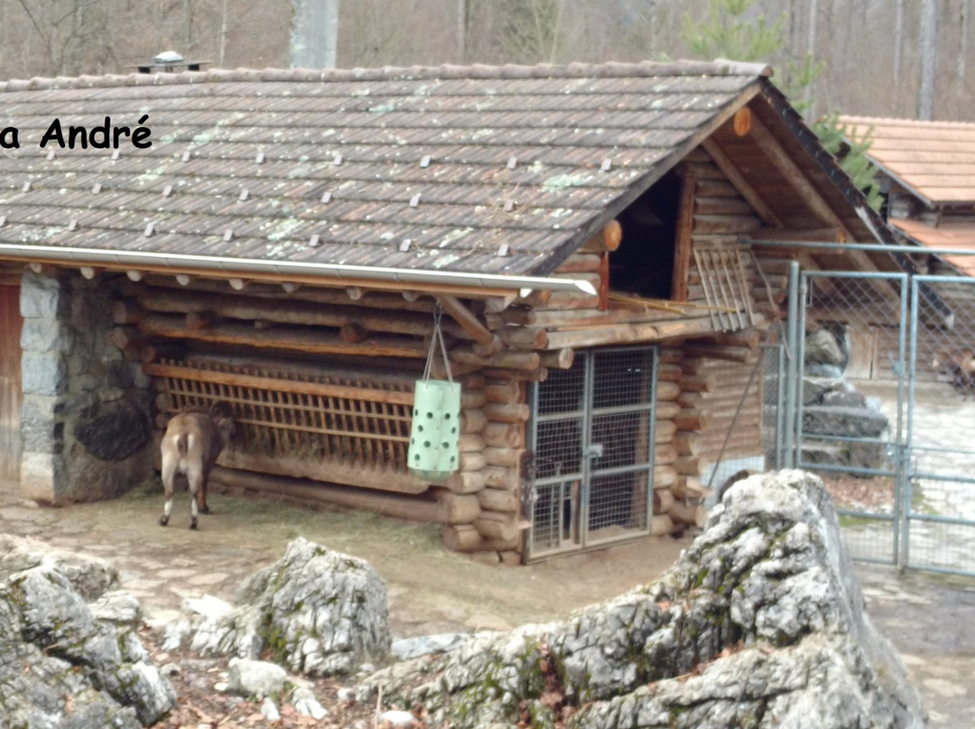 Alpine Wildlife Park Interlaken-因特拉肯必去景点