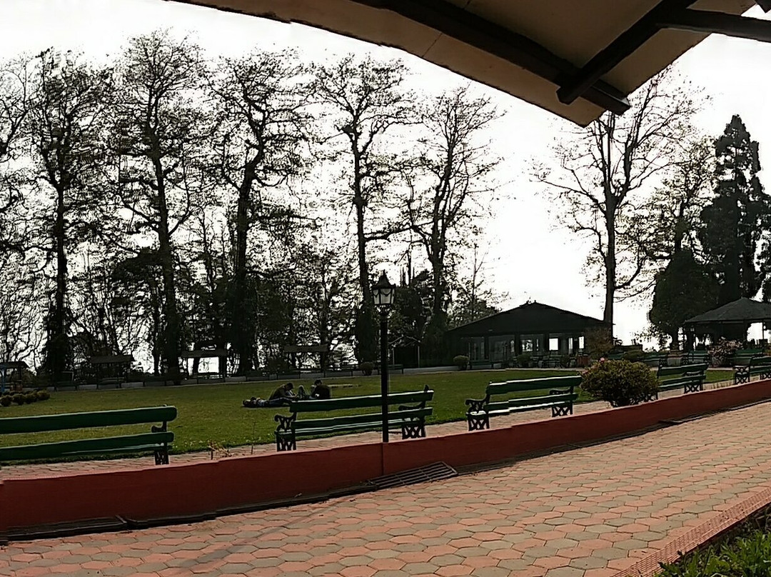 Shrubbery Nightingale Park-大吉岭必去景点