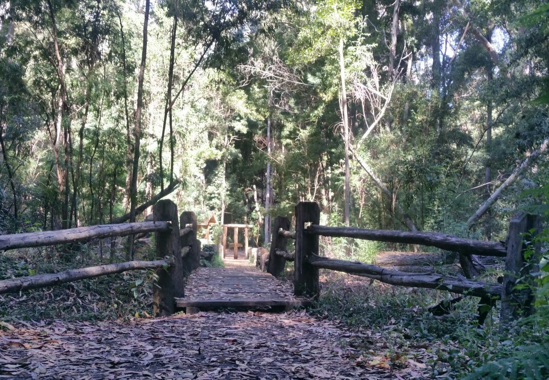 Reserva Nacional Federico Albert-Chanco必去景点