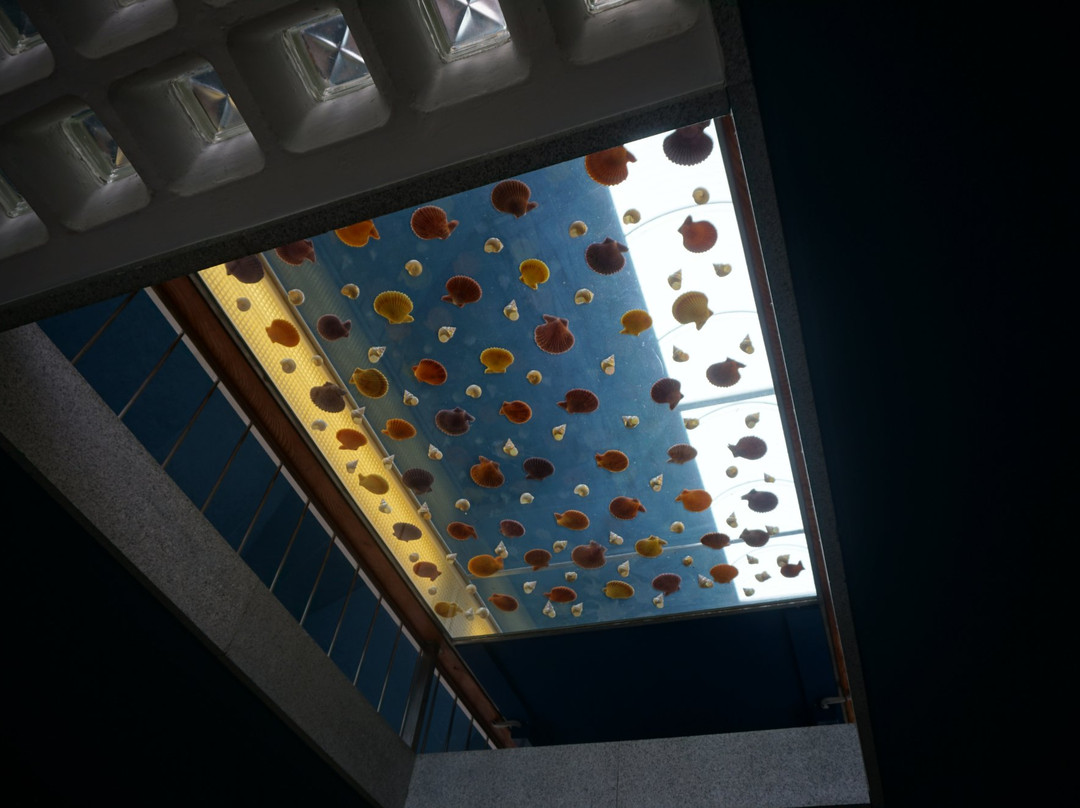 Gallery of the Sea-土佐清水市必去景点