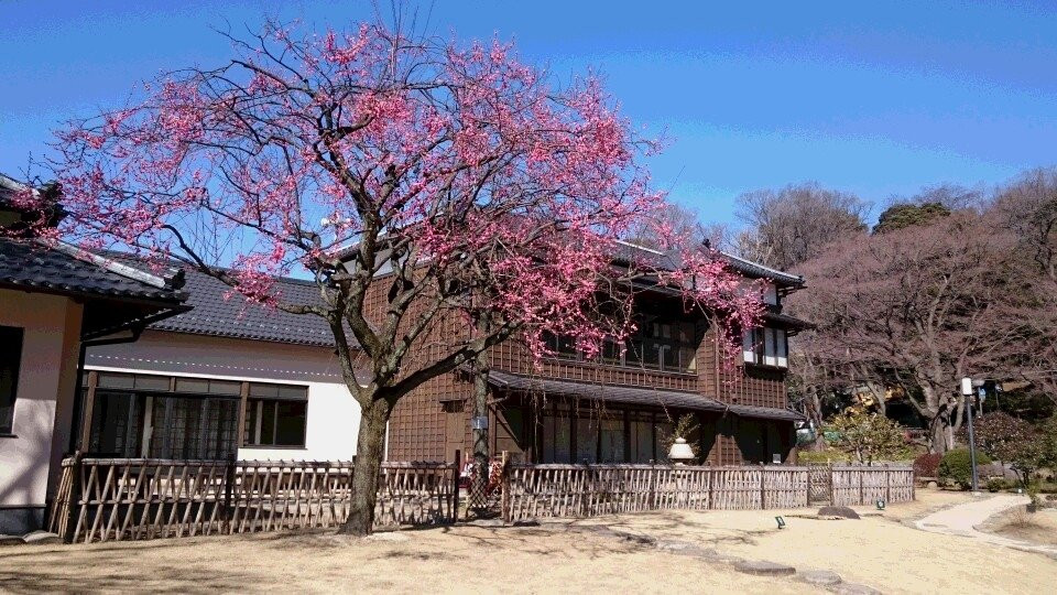 Higo-Hosokawa Garden