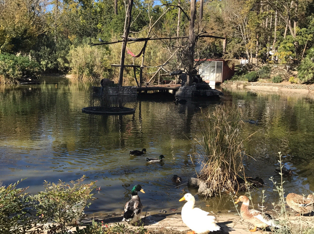 Lo Zoo di Napoli-那不勒斯必去景点