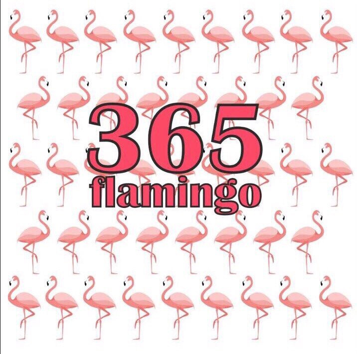 365flamingo-蓬塔卡纳必去景点