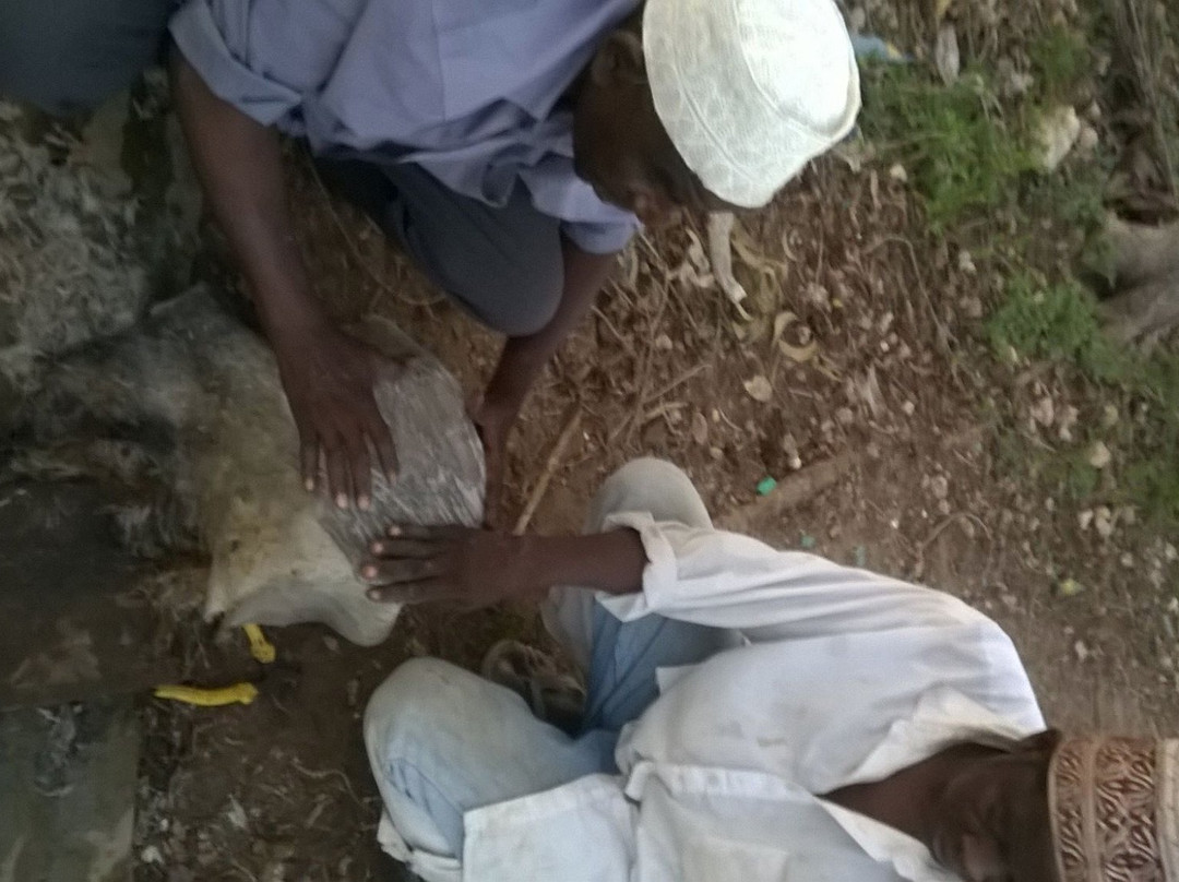 Marimba Cultural Tours Ltd.-桑给巴尔市必去景点