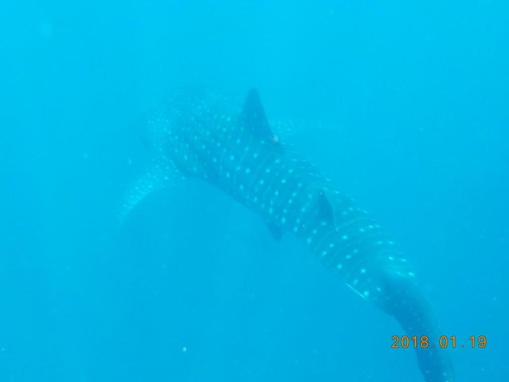 Arta Beach-Arta必去景点