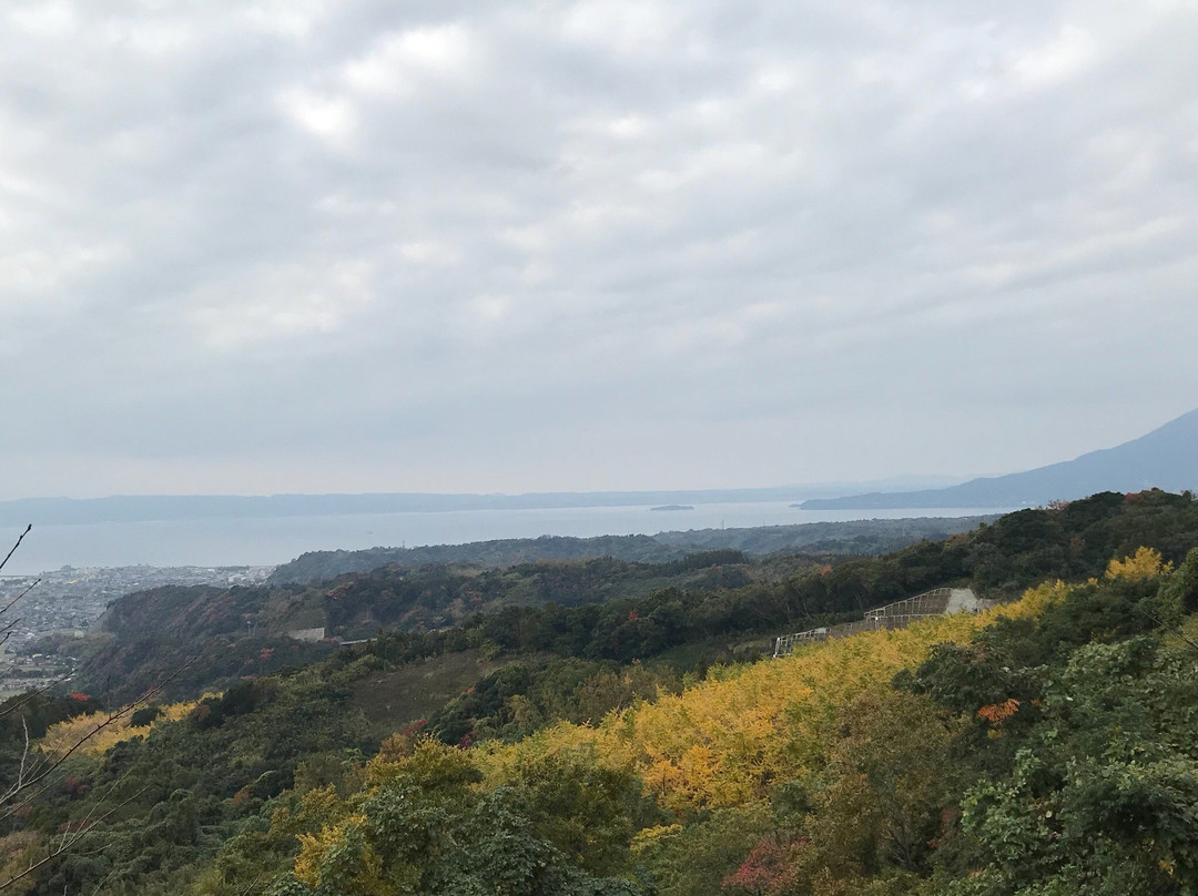 Tarumizu Sembon Ginkgo Garden-垂水市必去景点