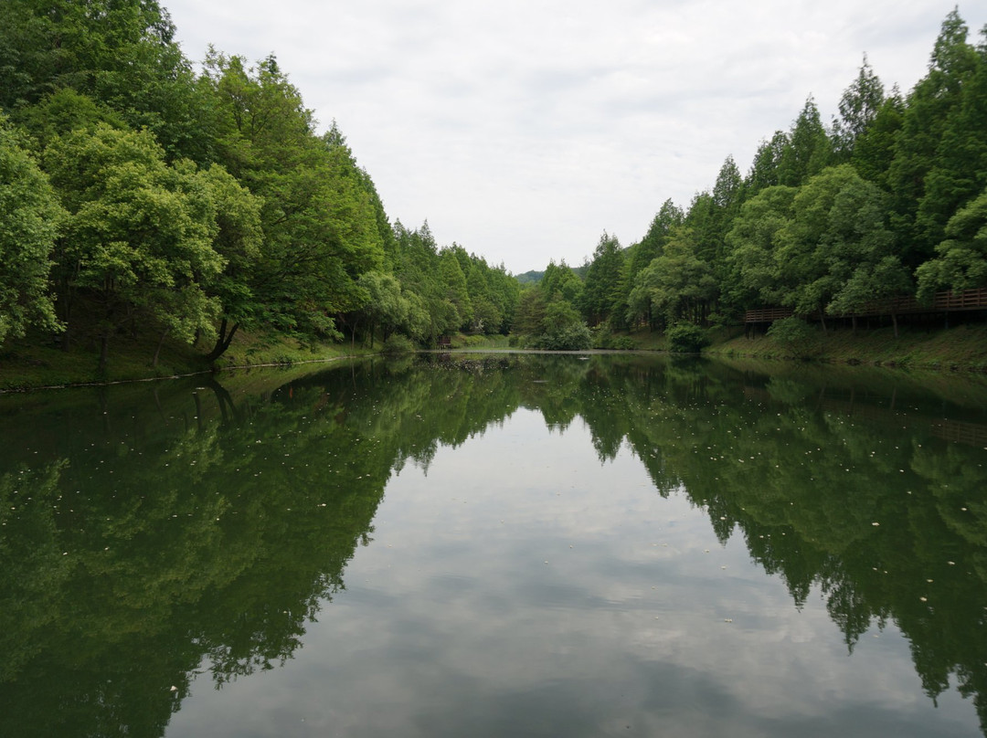 Midongsan Arboretum-清州市必去景点