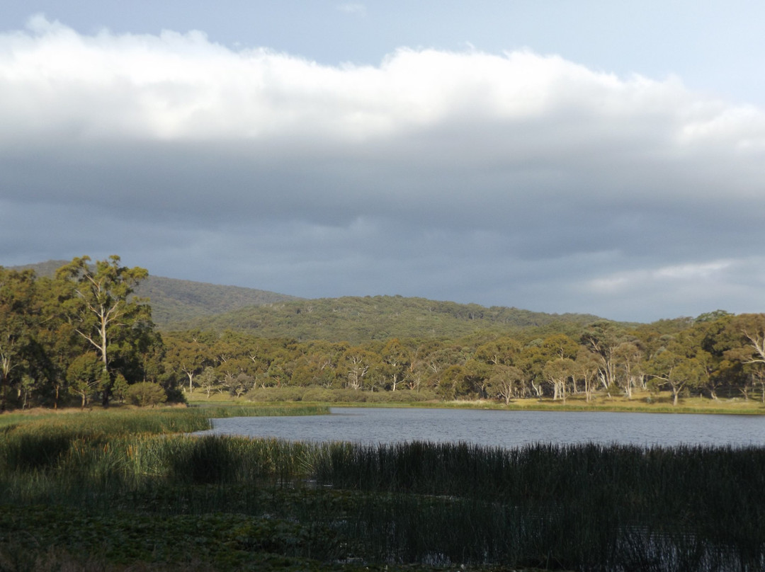 Dumaresq Dam景点图片