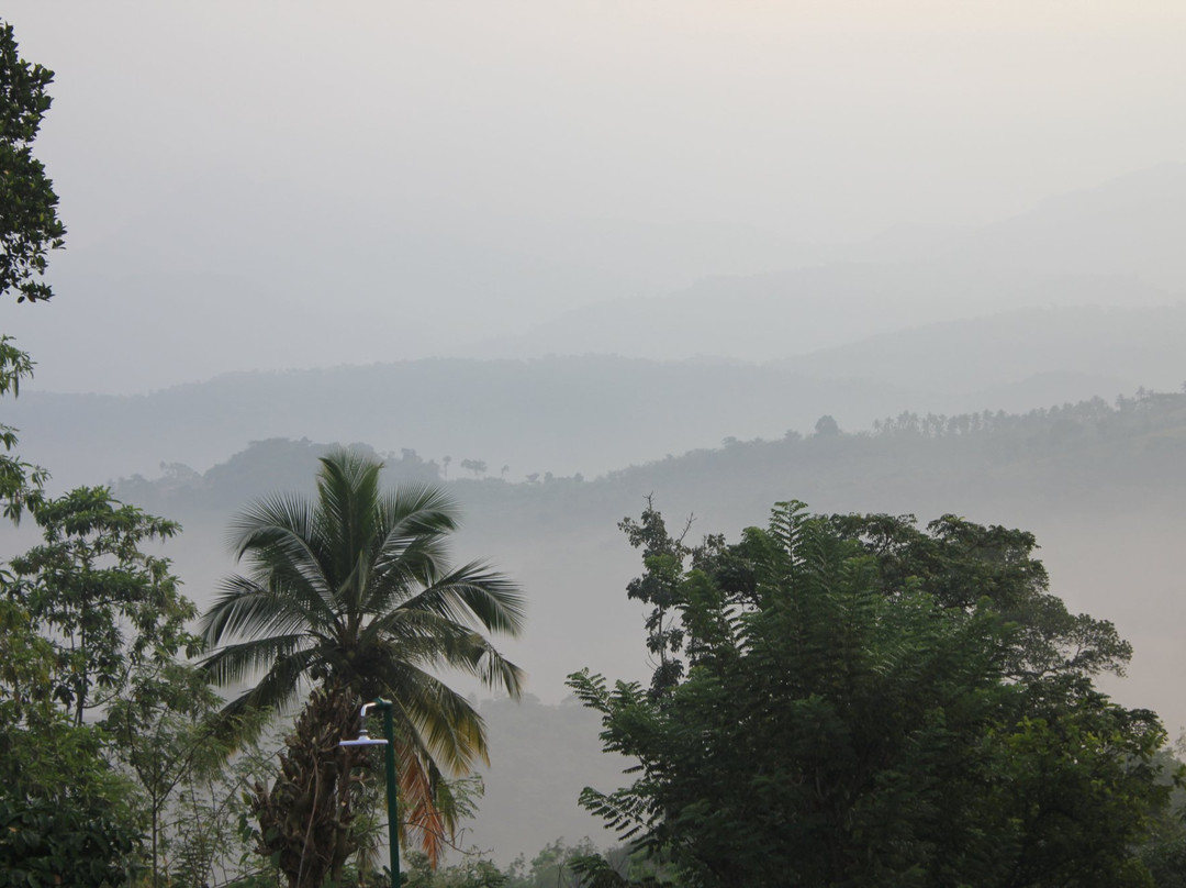 Paradise Forest Garden主图