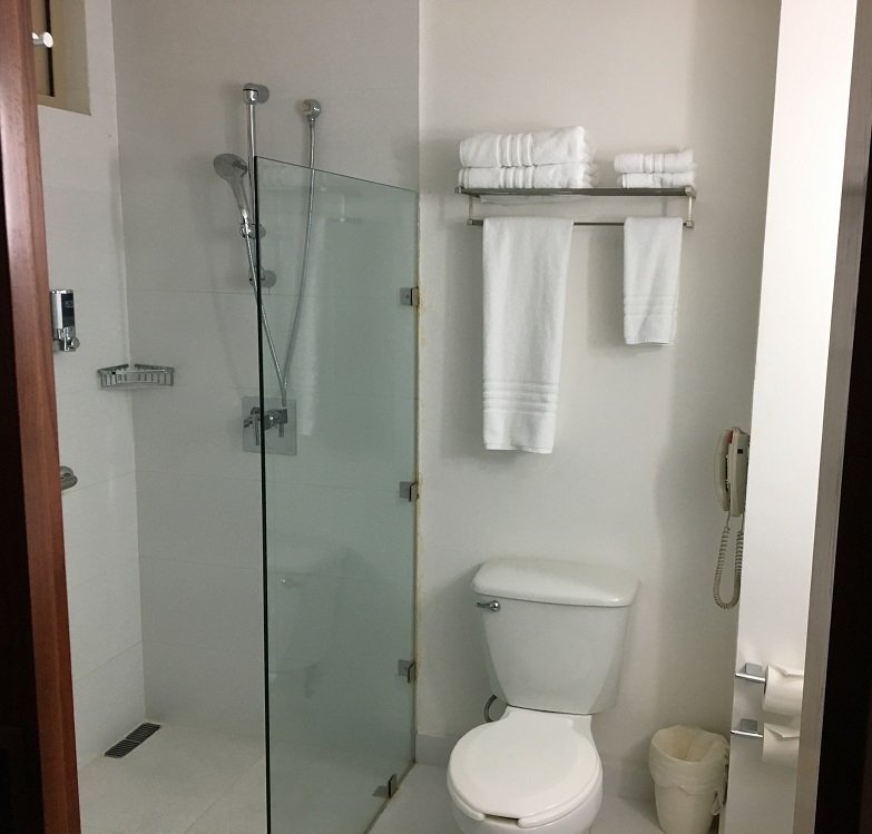 Four Points by Sheraton Monterrey Linda Vista-浴室
