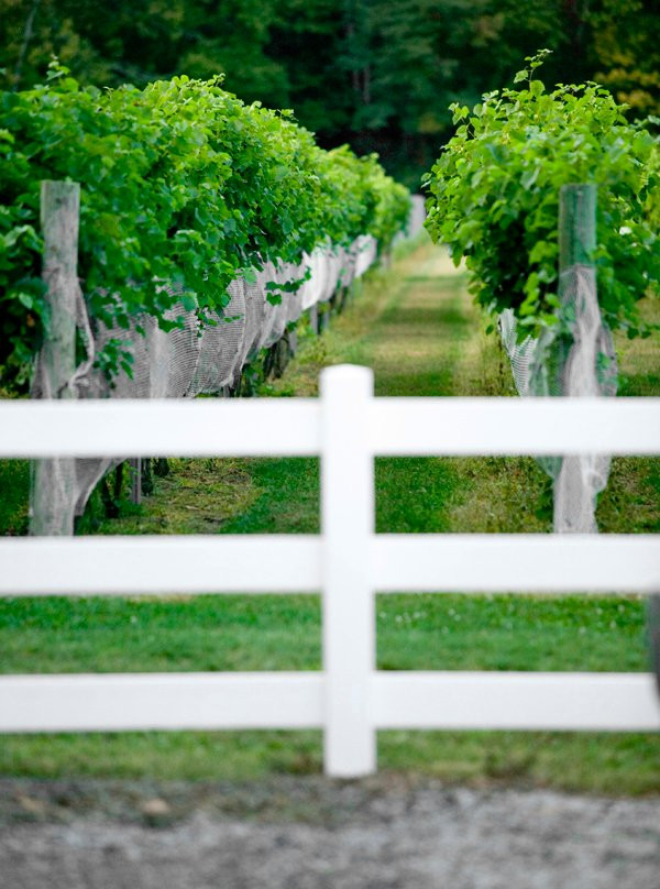 Harmony Hill Vineyards & Estate Winery景点图片
