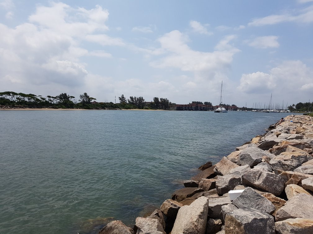 Pelican Island景点图片