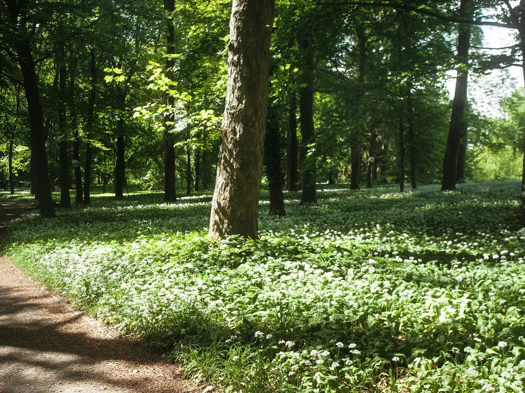 Stadtpark Glacis Neu-Ulm-新乌尔姆县必去景点