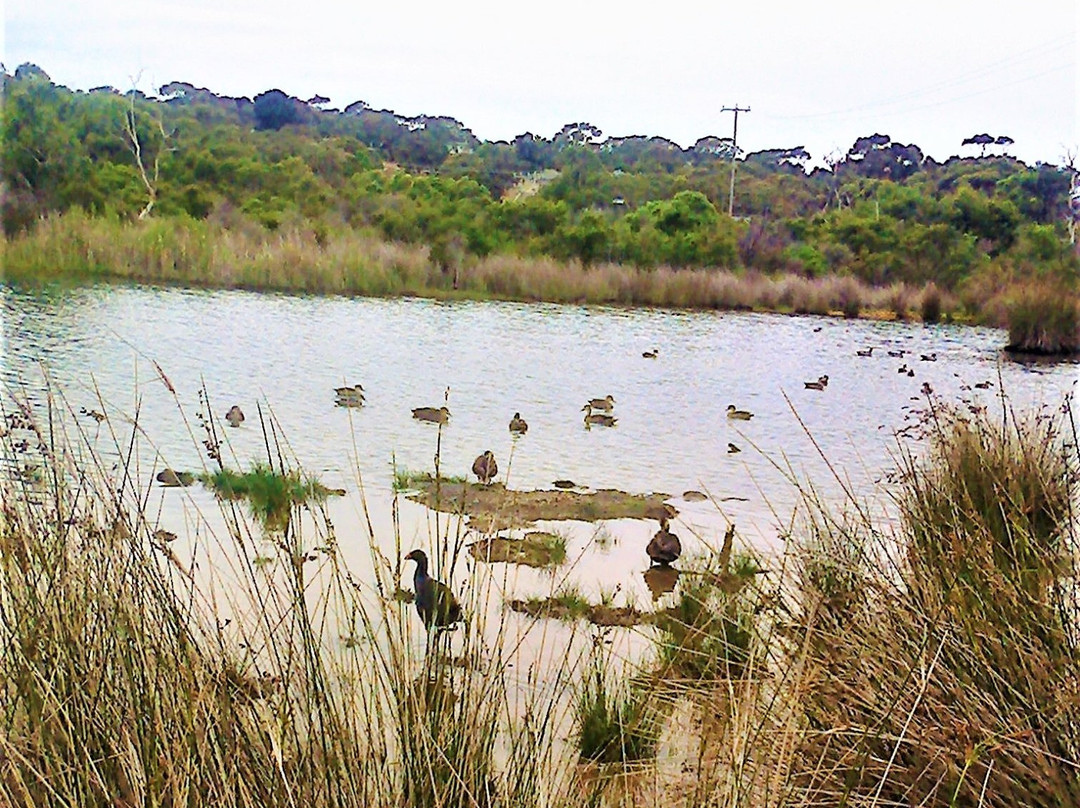Coogoorah Park Nature Reserve-安格尔西岛必去景点