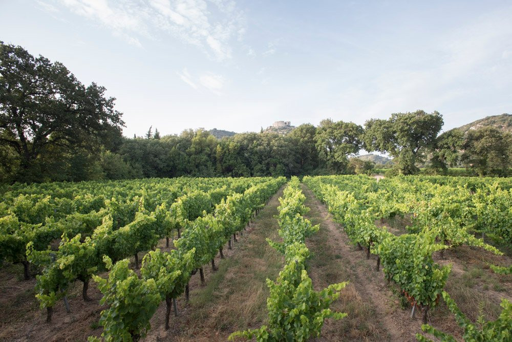 Domaine Pélaquié-Saint-Victor-la-Coste必去景点