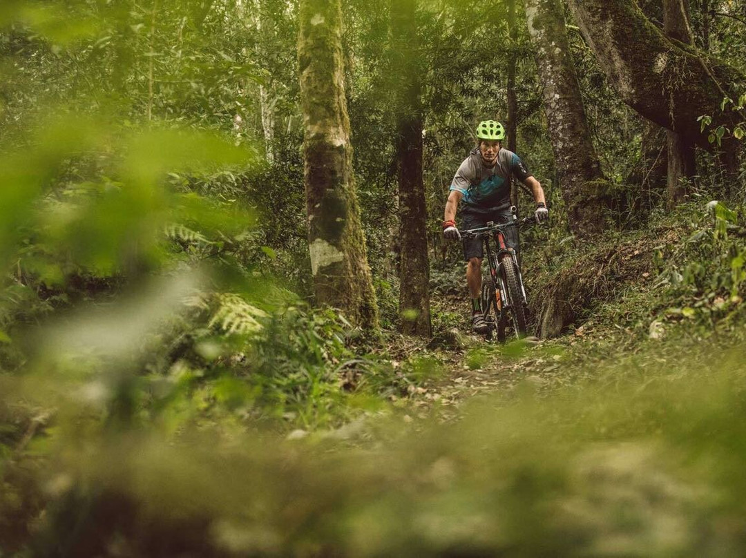 Garden Route Trail Park-克尼斯纳必去景点