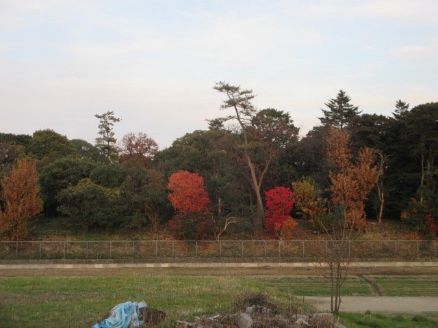 Furuichi  Ancient Tumulus Clusters-羽曳野市必去景点