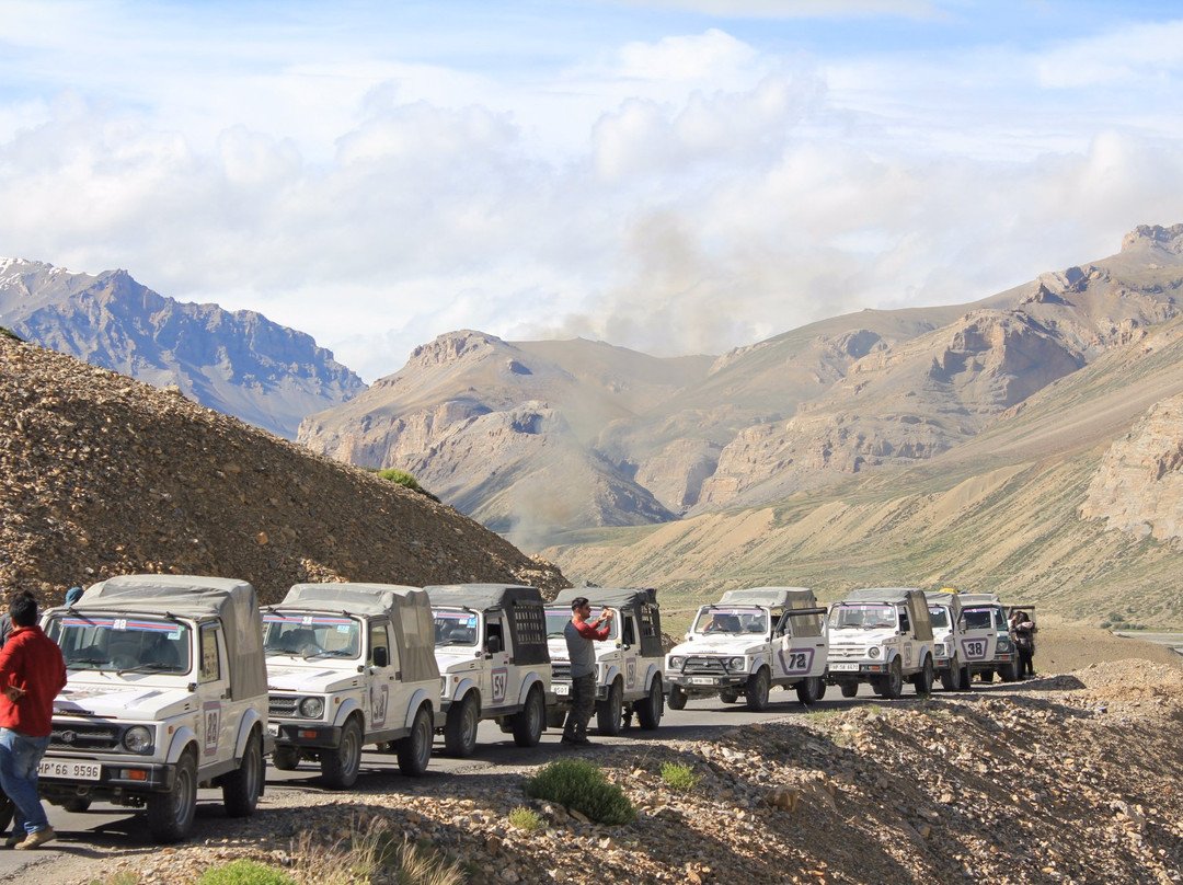 Wild Adventures Tours