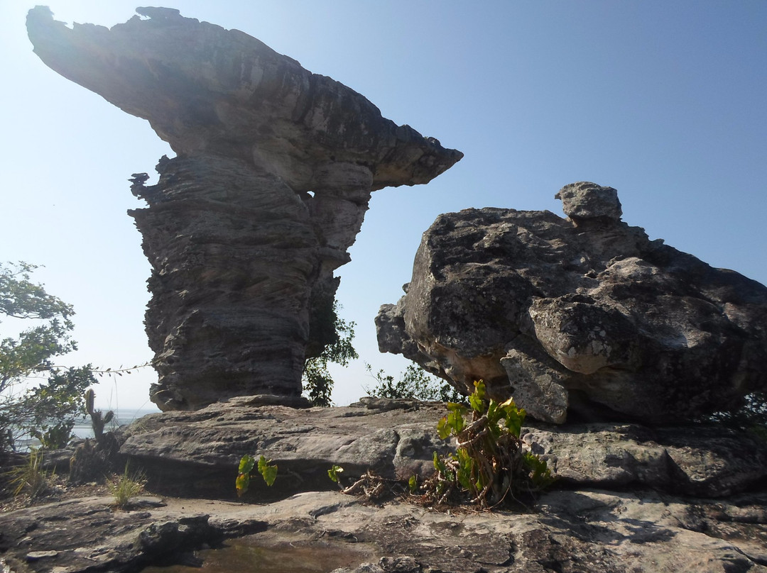 Coracao Verde Turismo-Alter do Chao必去景点
