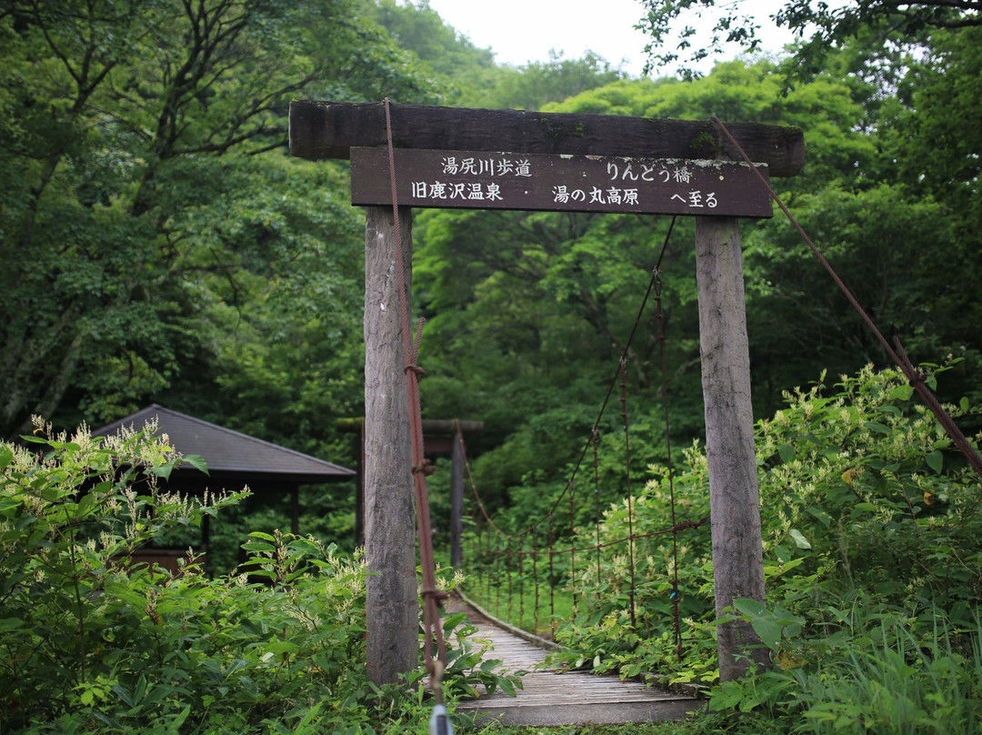 Tamadare Falls景点图片