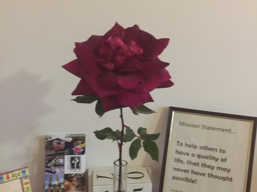 Sandy Massage Sunshine Coast-Coolum Beach必去景点