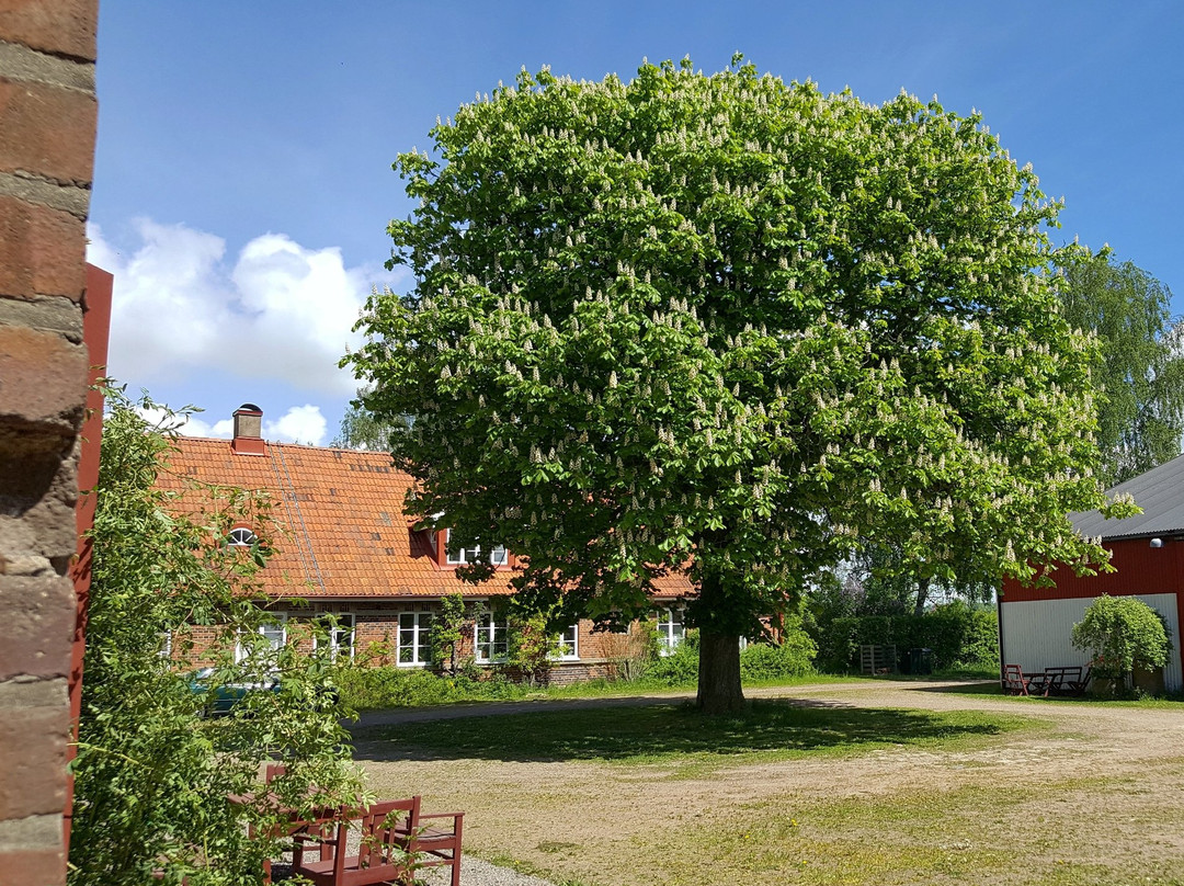 Gustavsborgs Gard景点图片
