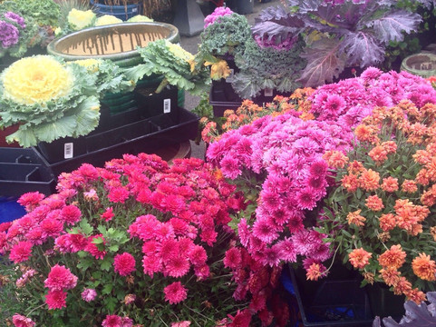 Tacoma Boys-塔科马必去景点