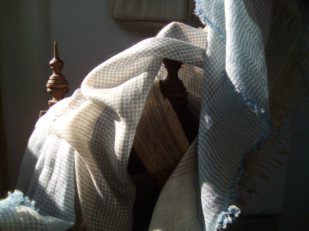 Chianti Cashmere Goat Farm-拉达因基安蒂必去景点