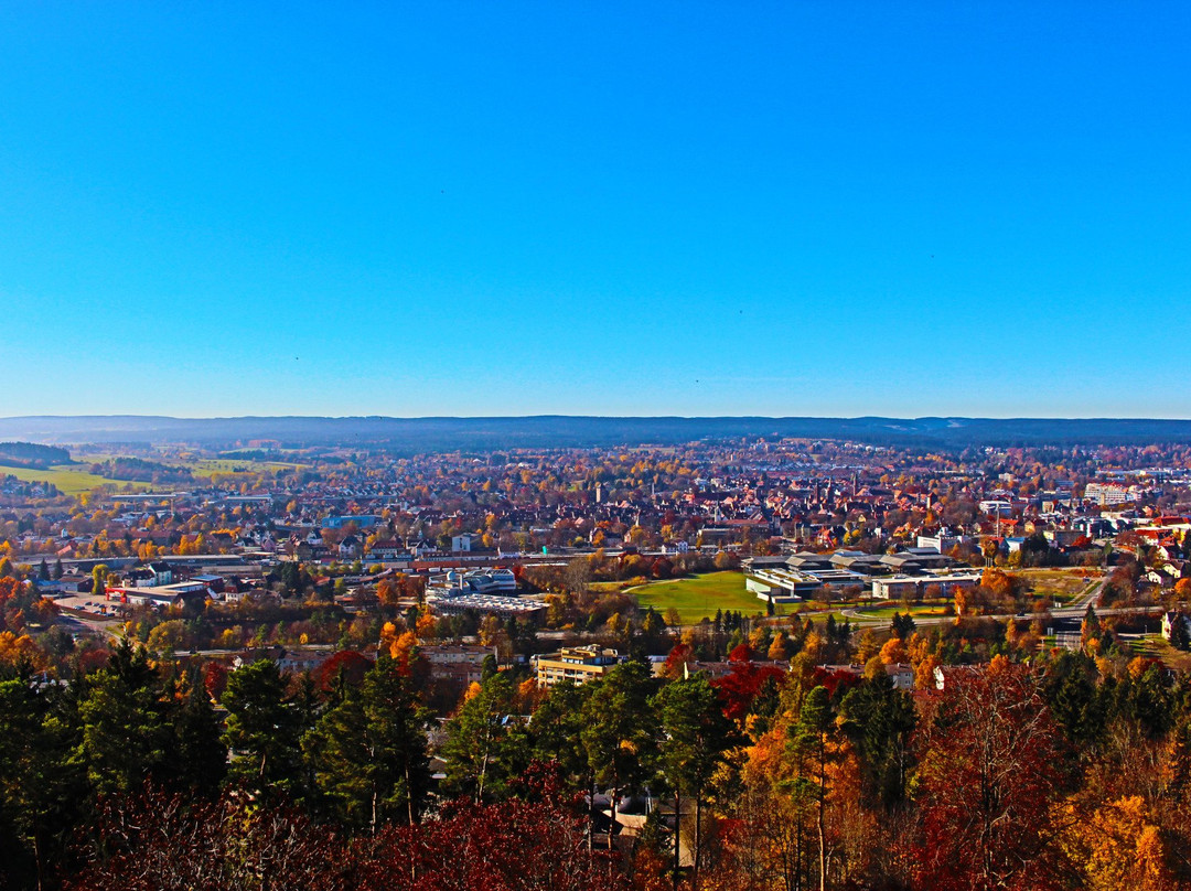 Villingen-Schwenningen旅游攻略图片