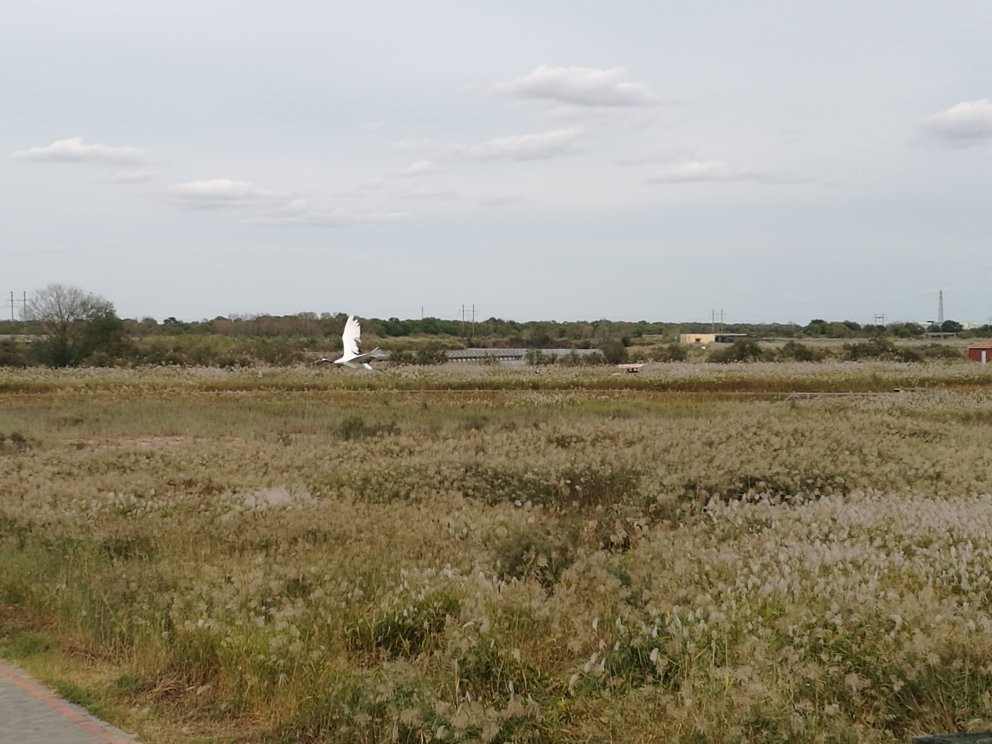 黄河入海口-东营市必去景点