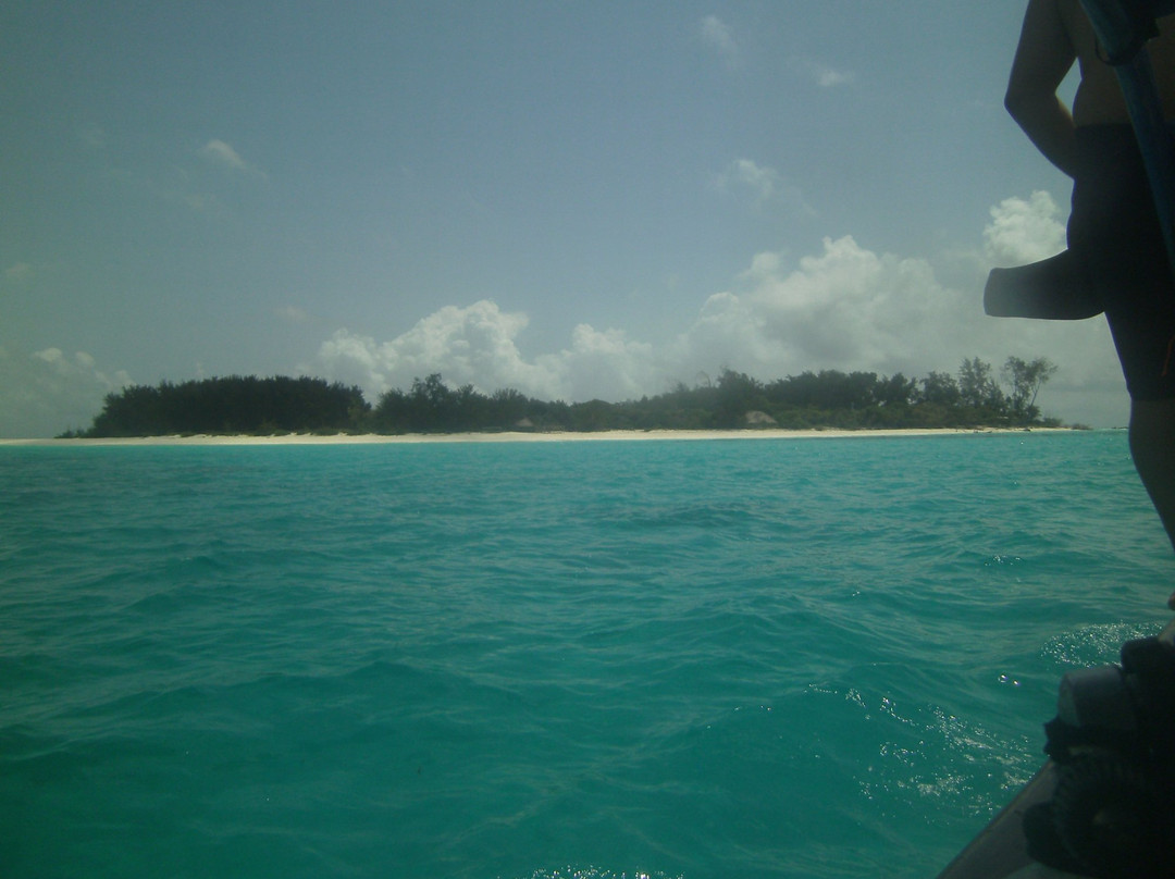 The Zanzibar Dive Centre, One Ocean-基万嘎必去景点