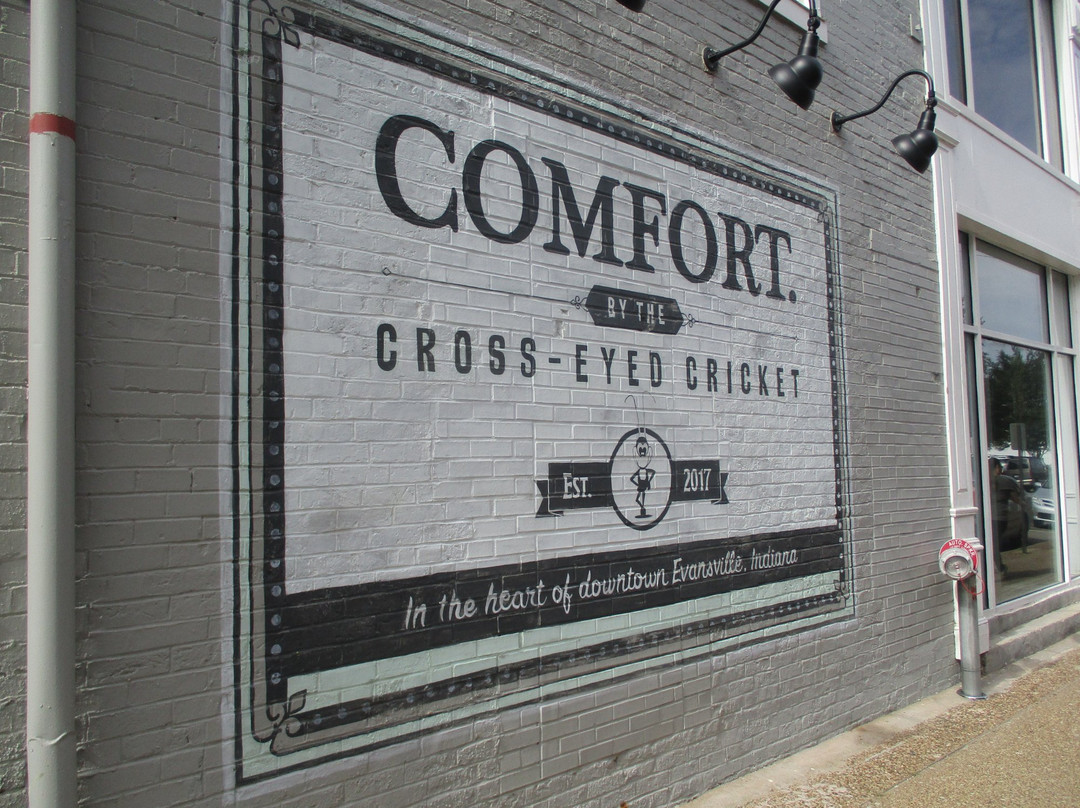 Comfort by the Cross-Eyed Cricket