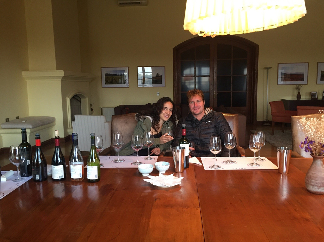 Koyle Family Vineyards景点图片