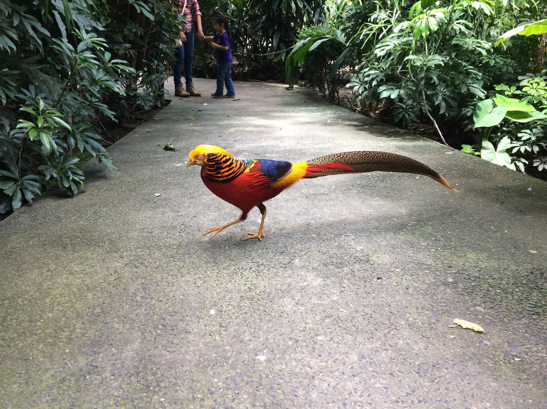 Parque Agua Azul-瓜达拉哈拉必去景点