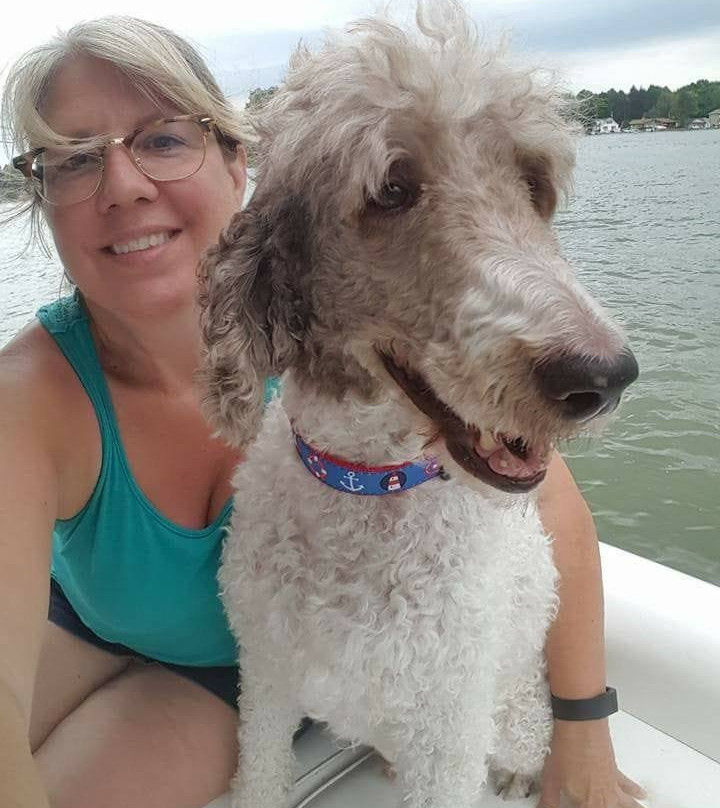 Decadent Dogs-南黑文必去景点