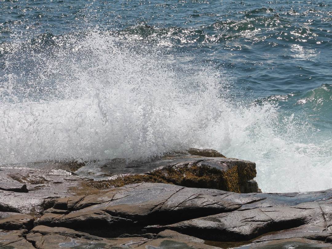 Schoodic National Scenic Byway景点图片