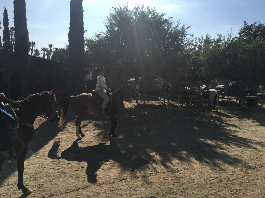 Ojai Valley Trail Riding Company-奥海必去景点