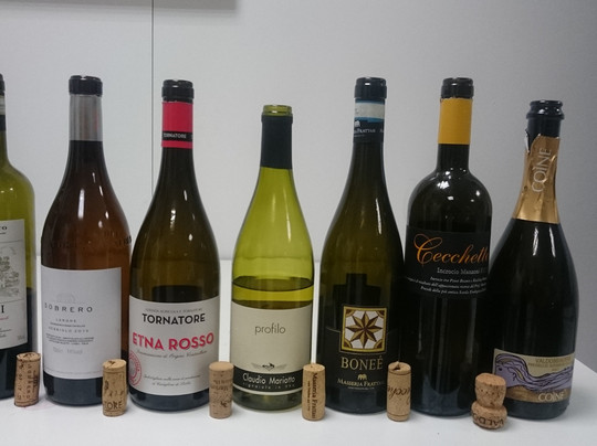 Catavinos-马洛卡帕尔马必去景点