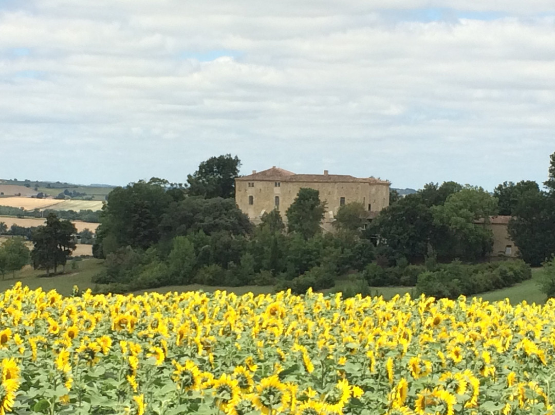 Chateau de Serillac景点图片